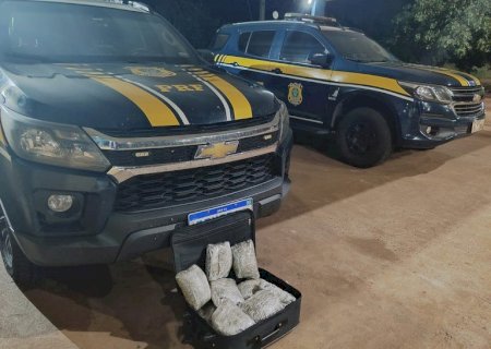 Homem é preso transportando skunk em ônibus de viagem em Água Clara