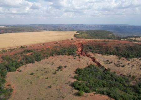 Com plantio de 270 mil mudas no parque estadual do Rio Taquari, MS realiza maior projeto de restauração do país