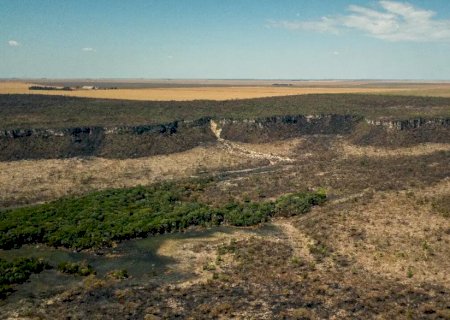 Governo monta força-tarefa para conter desmatamento no Cerrado