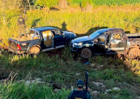 DOF apreende carga milionária de maconha em Maracaju