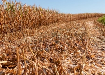 Crédito rural: saiba quem pode fazer a renegociação da dívida
