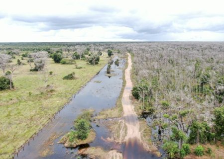 Pecuarista pode ter de pagar mais de R$ 5 bilhões em multas ambientais no Pantanal mato-grossense