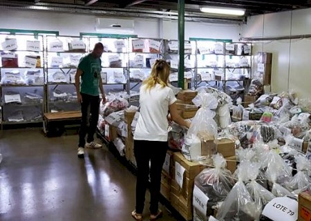 Leilão de produtos apreendidos e abandonados da Sefaz-MS segue até dia 23 de abril