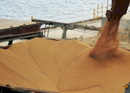 Brasil deve embarcar mais de 10 milhões de toneladas de soja em abril, diz Anec