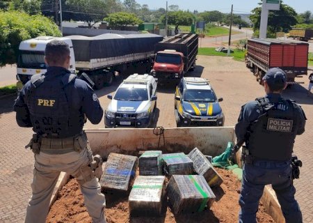 Caminhão roubado é apreendido com 12 toneladas de maconha em Jardim
