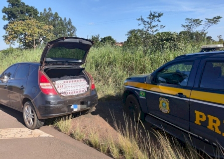 Carros com cigarros ilegais são apreendidos pela PRF em Maracaju e Nova Alvorada do Sul