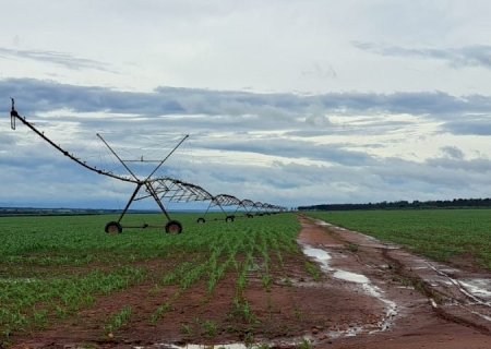 Governo de MS e Ministério da Integração alinham criação de polo de irrigação no Estado