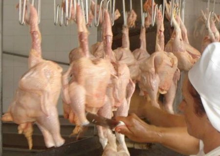 Vendas externas de frango voltam a crescer em março