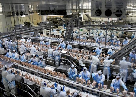 Exportação de industrializados de MS em março atingem US$ 434,7 milhões