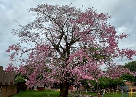 Pode chover 25mm em Nova Andradina, diz Clima Tempo