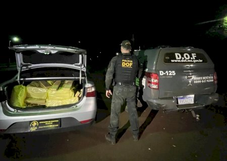 Em Dourados, DOF apreende 250 kg de maconha que seguia para São Paulo