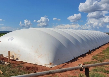 Frango Vida amplia crescimento da avicultura de MS com repasse de R$ 56,5 milhões em incentivos aos produtores