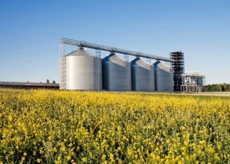 Desembolso do crédito rural no Plano Safra 2023/24 atinge R$ 347,2 bi em 10 meses
