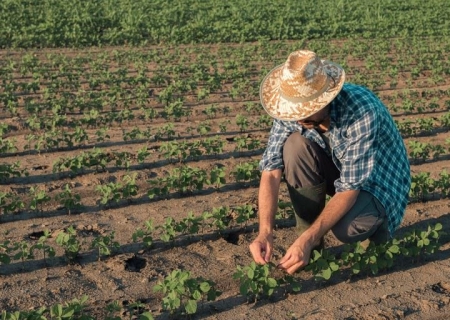 Nova lei permite que agricultor familiar use recursos do Fundo para Calamidades Públicas