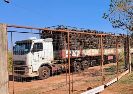 Nova Andradina recolhe mais 24 toneladas de pneus e destina à reciclagem