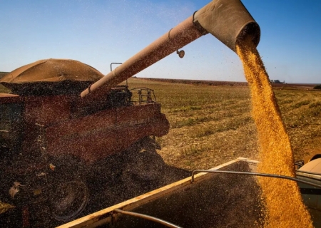 Brasil colherá 297,5 milhões de toneladas de grãos, estima a Conab