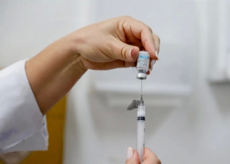Dengue: Brasil tem, em 6 meses, 6,1 milhões de casos e 4,2 mil mortes