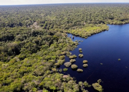 União Europeia fará doação de R$ 120 milhões ao Fundo Amazônia