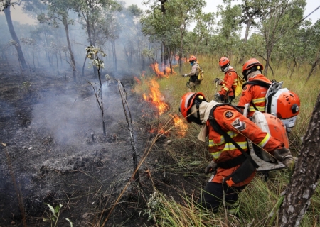 Combate aos incêndios florestais no Pantanal conta com reforço de garoa e queda na temperatura