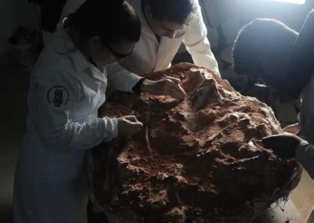 Fóssil encontrado no RS vai ajudar a entender a origem dos dinossauros