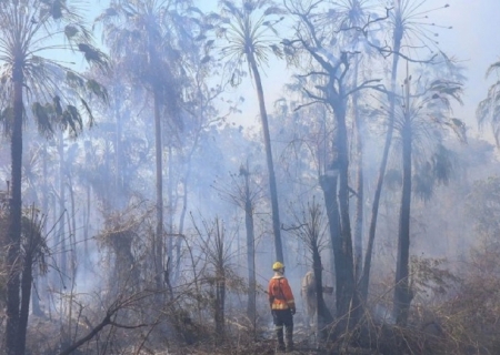 Combate aos incêndios no Pantanal tem reforço com equipes de bombeiros do PR e GO