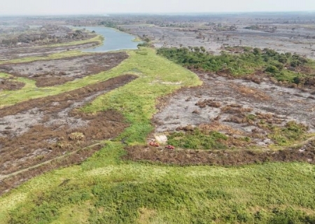 Proprietários rurais do Pantanal afetados pelos incêndios florestais devem ter condições especiais no FCO