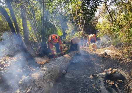 Operação Pantanal: bioma tem oito focos ativos mesmo após semana de frio e chuva em MS