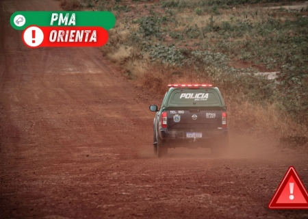 Incêndios no Pantanal afetam alimentação e dessedentação do gado da região