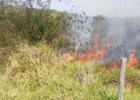 Homem causa incêndio florestal ao tentar cozinhar arroz na margem do córrego Esperança