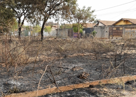 Incêndios florestais em áreas urbanas prejudicam meio ambiente e a saúde da população