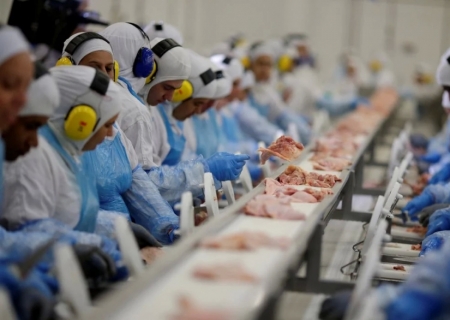 China e México retomam compras de carne de frango do Brasil, mas não do RS