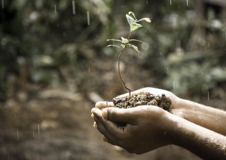 Bioinsumos podem gerar economia de US$ 5,1 bi anuais ao agro brasileiro