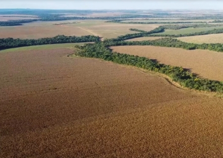 Governo de MS buscará indenizar produtores com áreas em terras indígenas