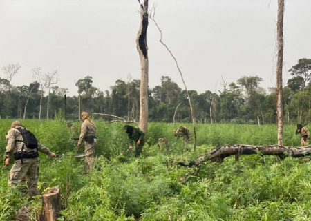 PF e Senad iniciam a 47° fase da Operação Nova Aliança
