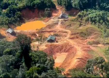 Crimes ambientais na Amazônia Legal aumentam 88%, aponta PRF