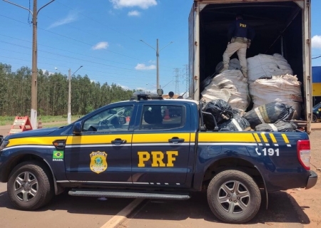 Polícia Rodoviária Federal apreende mais de 250 kg de skunk em Três Lagoas
