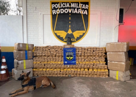 Cães farejadores encontram 840 kg de maconha em caminhão durante fiscalização em Ponta Porã