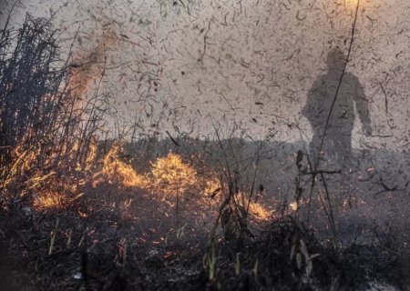 Focos de incêndios no Brasil já são 76% maior que em 2023