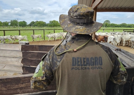 Deleagro recupera 126 cabeças de gado furtadas e remarcadas, avaliadas em aproximadamente R$ 400 mil