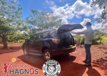 Idoso é preso 15 anos após crime de estupro contra criança em aldeia indígena de Dourados