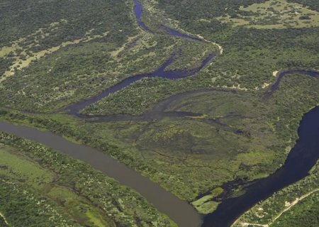 Maior parte da Mata Atlântica tem menos de 30% de vegetação nativa
