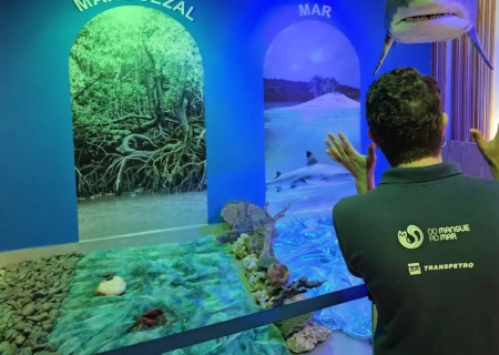 Apenas 5% dos recursos dos oceanos são conhecidos, diz pesquisadora