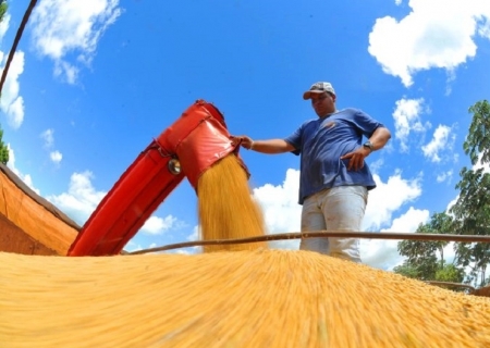 Entenda por que a vitória de Trump pode ser boa para o agro brasileiro