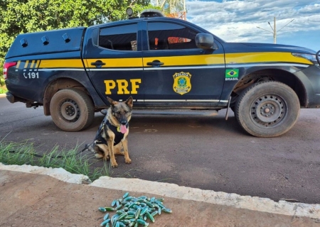 Boliviano é flagrado pela PRF com cocaína presa ao corpo em Terenos