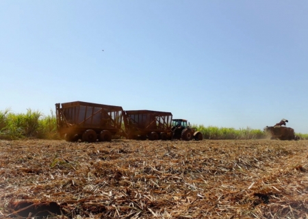 Produção de etanol do Brasil cresce com impulso do milho após queda na safra de cana