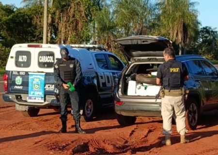 Ação conjunta resulta na apreensão de quase 800 kg de maconha em Jardim