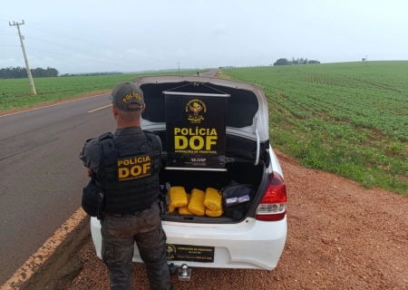 Mulheres que seguiam para Goiás com maconha são presas pelo DOF no município de Aral Moreira