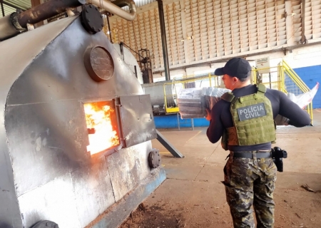 Delegacias de Santa Rita do Pardo e Bataguassu incineram 147 kg de cocaína apreendidos