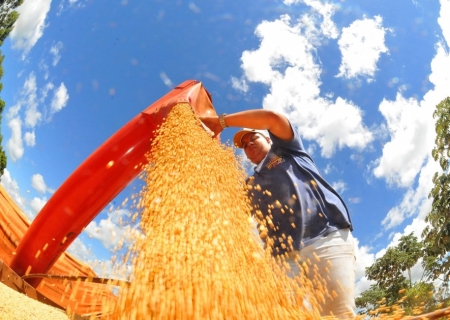 Produtores rurais devem declarar área plantada de soja até o dia 10 de janeiro no site da Iagro