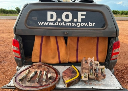 Passageira de ônibus é flagrada com haxixe dentro de tábuas de carne e na vagina em Ponta Porã